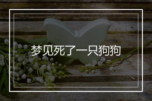 梦见死了一只狗狗