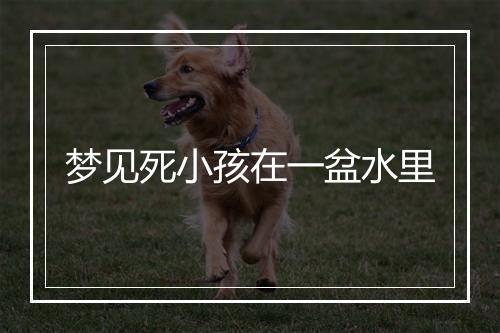 梦见死小孩在一盆水里