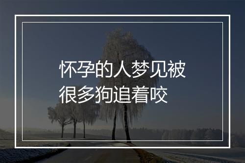 怀孕的人梦见被很多狗追着咬