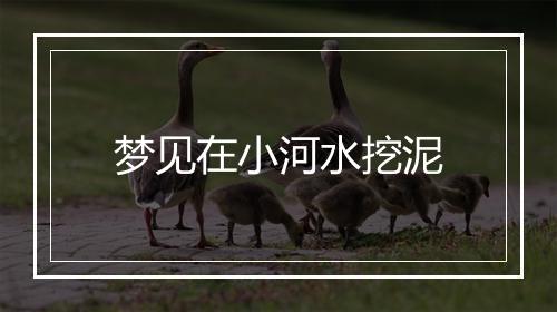 梦见在小河水挖泥