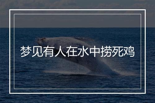 梦见有人在水中捞死鸡