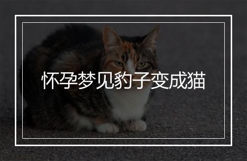 怀孕梦见豹子变成猫