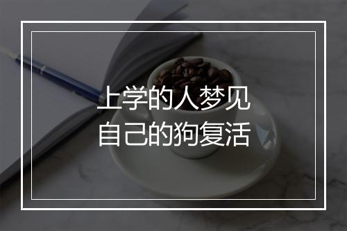 上学的人梦见自己的狗复活