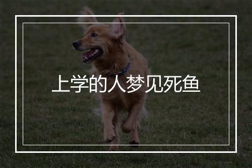 上学的人梦见死鱼