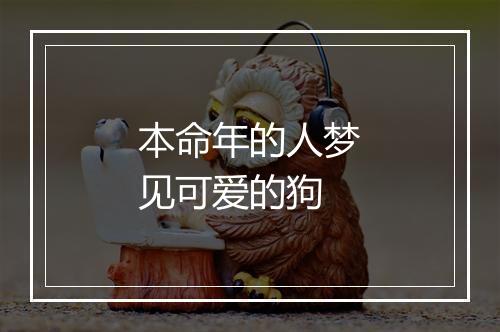 本命年的人梦见可爱的狗