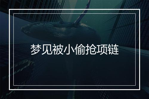 梦见被小偷抢项链