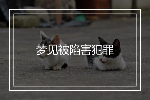 梦见被陷害犯罪