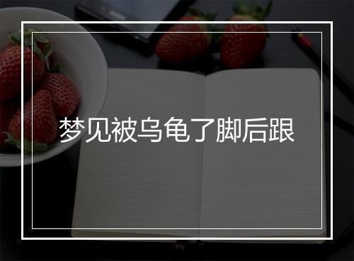 梦见被乌龟了脚后跟