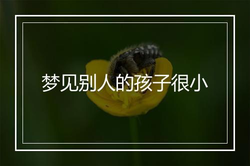 梦见别人的孩子很小