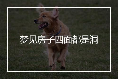 梦见房子四面都是洞