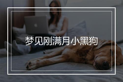 梦见刚满月小黑狗