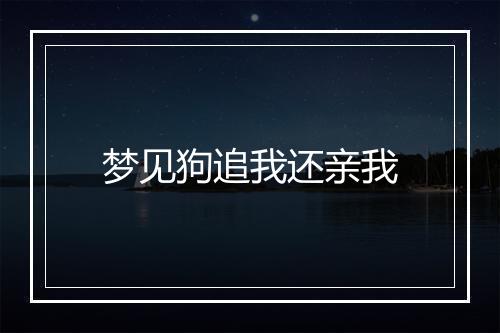 梦见狗追我还亲我