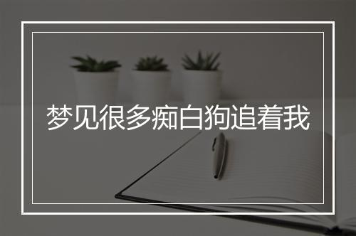 梦见很多痴白狗追着我