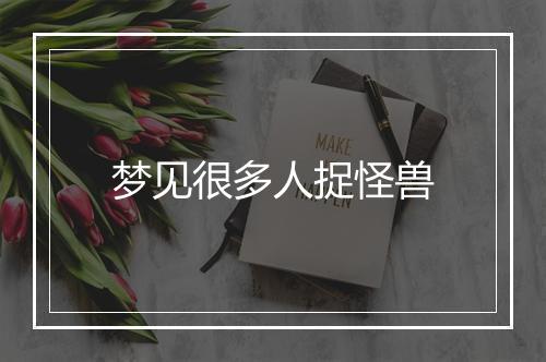 梦见很多人捉怪兽