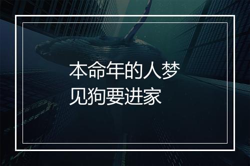 本命年的人梦见狗要进家