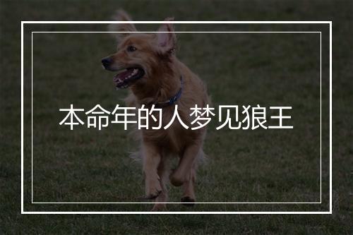 本命年的人梦见狼王