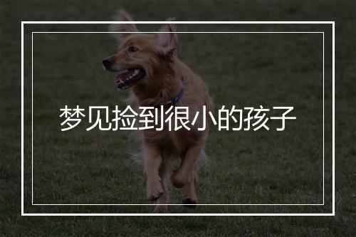 梦见捡到很小的孩子