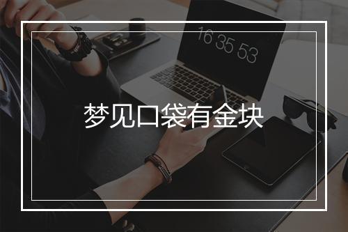 梦见口袋有金块