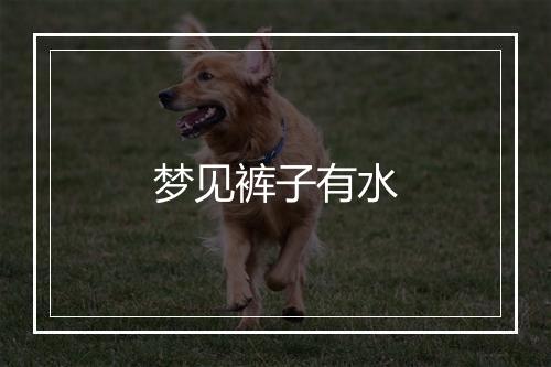 梦见裤子有水