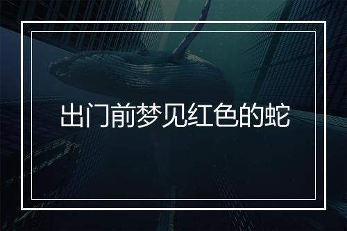 出门前梦见红色的蛇