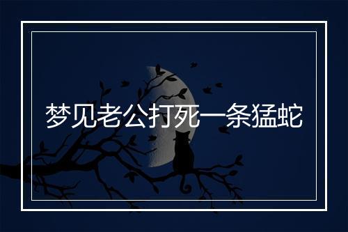 梦见老公打死一条猛蛇