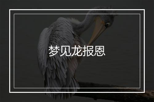 梦见龙报恩