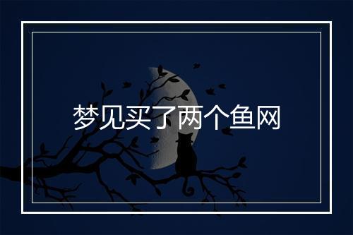 梦见买了两个鱼网