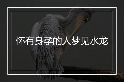 怀有身孕的人梦见水龙