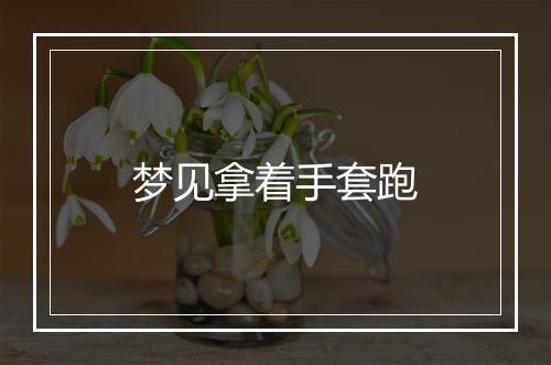 梦见拿着手套跑