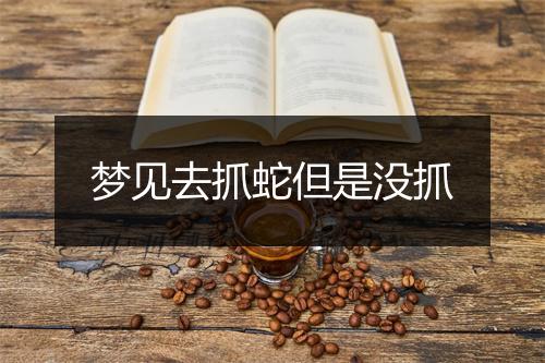 梦见去抓蛇但是没抓