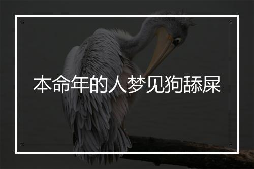 本命年的人梦见狗舔屎