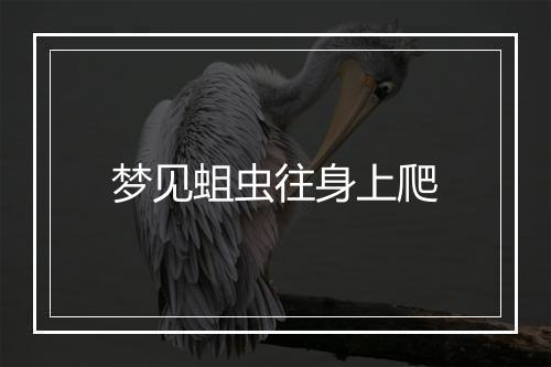 梦见蛆虫往身上爬