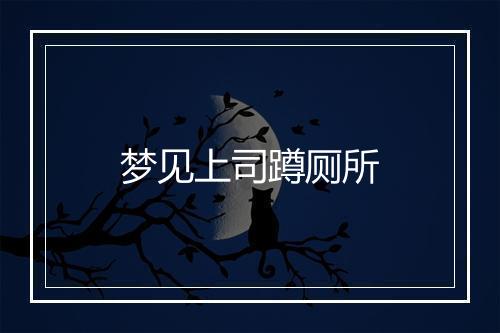 梦见上司蹲厕所