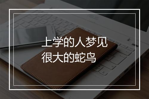 上学的人梦见很大的蛇鸟