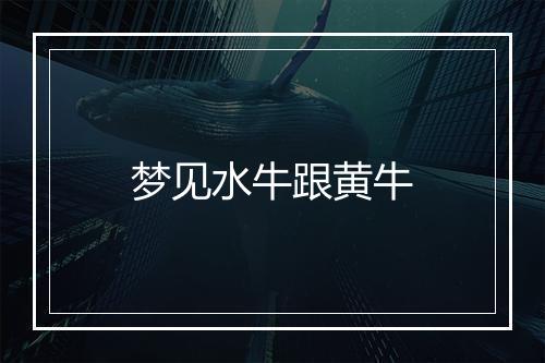 梦见水牛跟黄牛