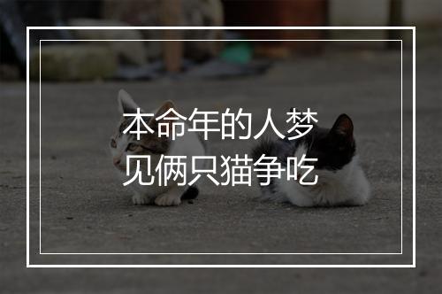 本命年的人梦见俩只猫争吃