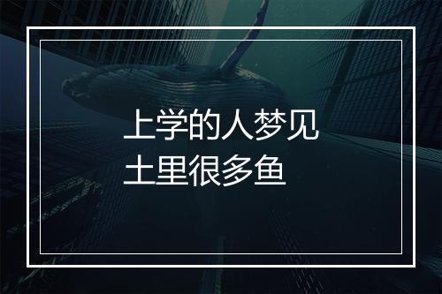 上学的人梦见土里很多鱼