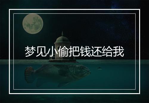 梦见小偷把钱还给我