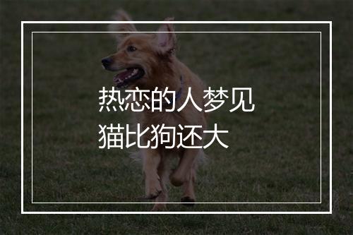 热恋的人梦见猫比狗还大