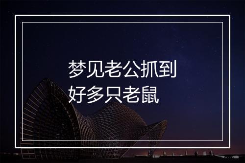 梦见老公抓到好多只老鼠