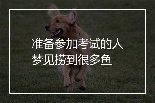 准备参加考试的人梦见捞到很多鱼