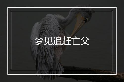 梦见追赶亡父