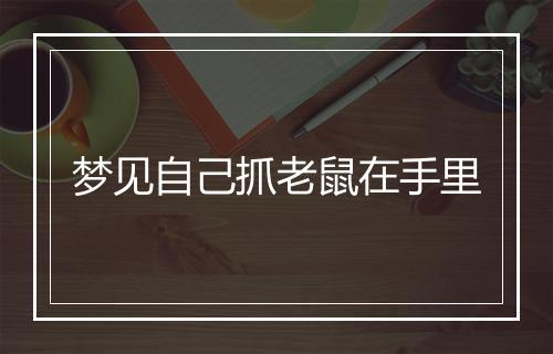 梦见自己抓老鼠在手里