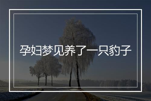 孕妇梦见养了一只豹子