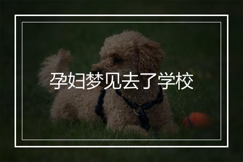 孕妇梦见去了学校