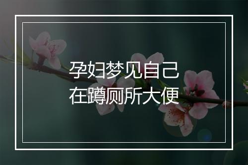 孕妇梦见自己在蹲厕所大便