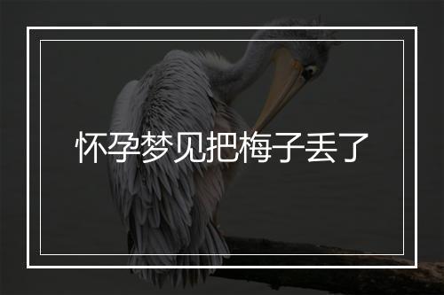 怀孕梦见把梅子丢了