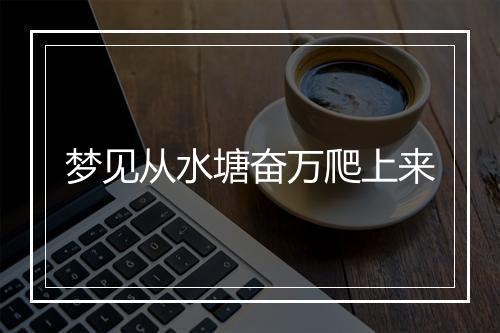 梦见从水塘奋万爬上来