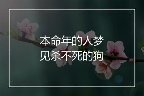 本命年的人梦见杀不死的狗