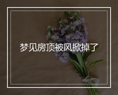 梦见房顶被风掀掉了